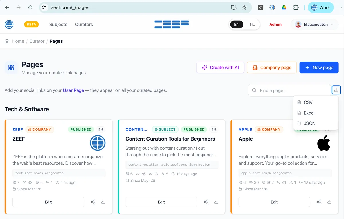 Pages overview with export dropdown open showing CSV, Excel, and JSON options